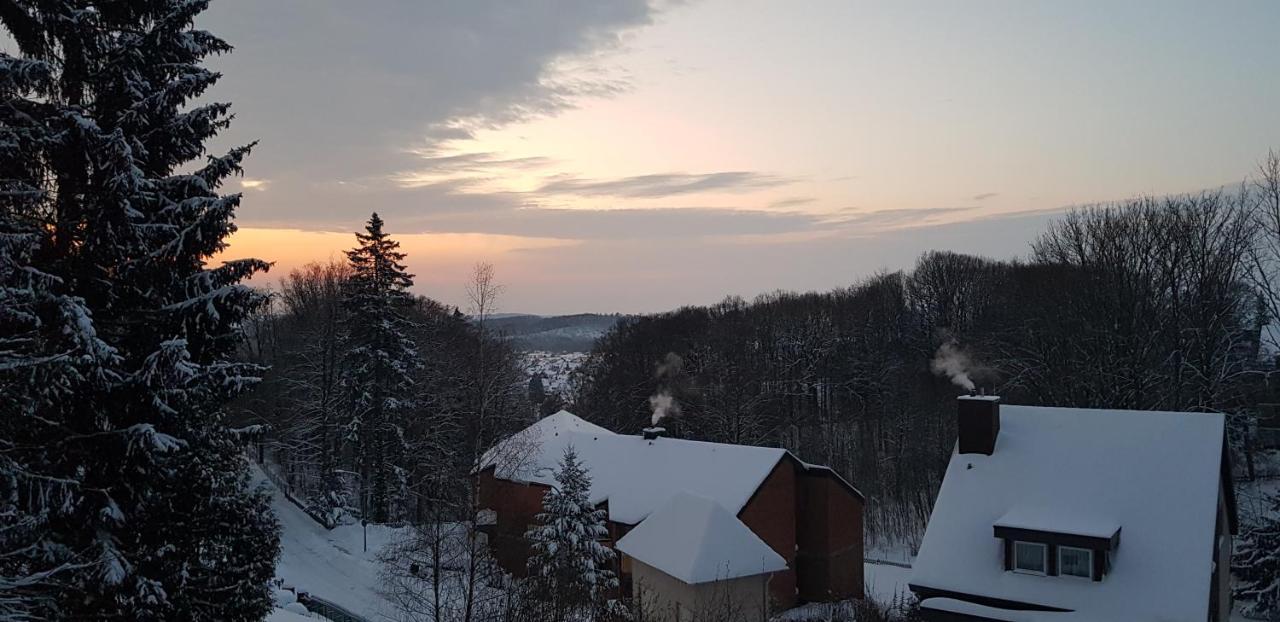 Panorama Hotel Pension Frohnau Bad Sachsa Dış mekan fotoğraf