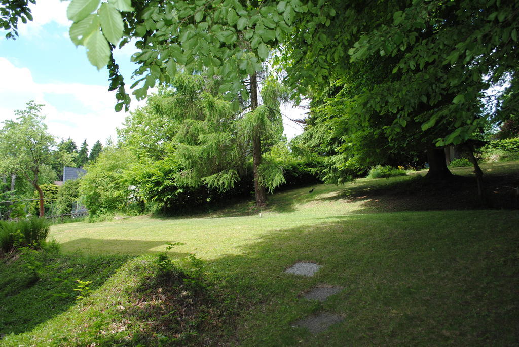 Panorama Hotel Pension Frohnau Bad Sachsa Oda fotoğraf