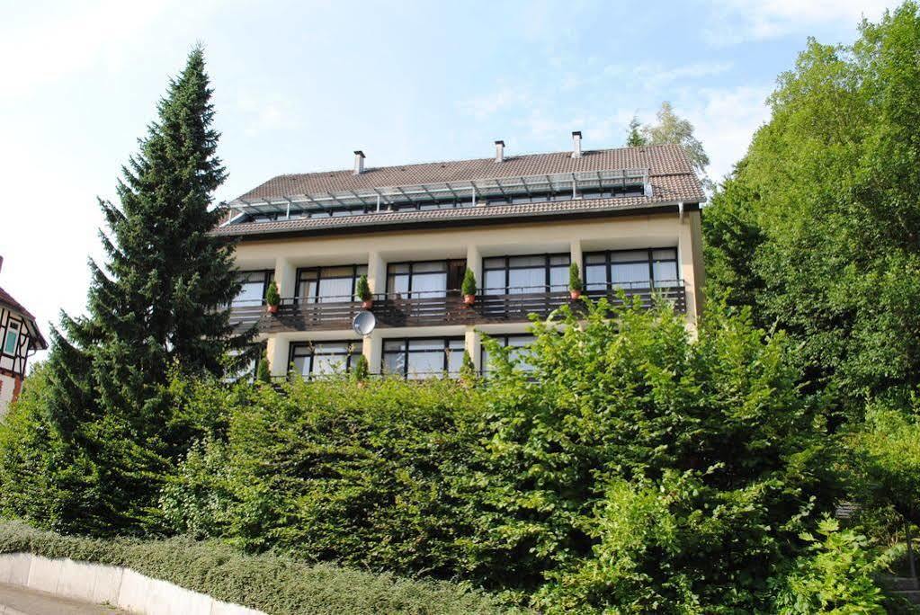 Panorama Hotel Pension Frohnau Bad Sachsa Dış mekan fotoğraf