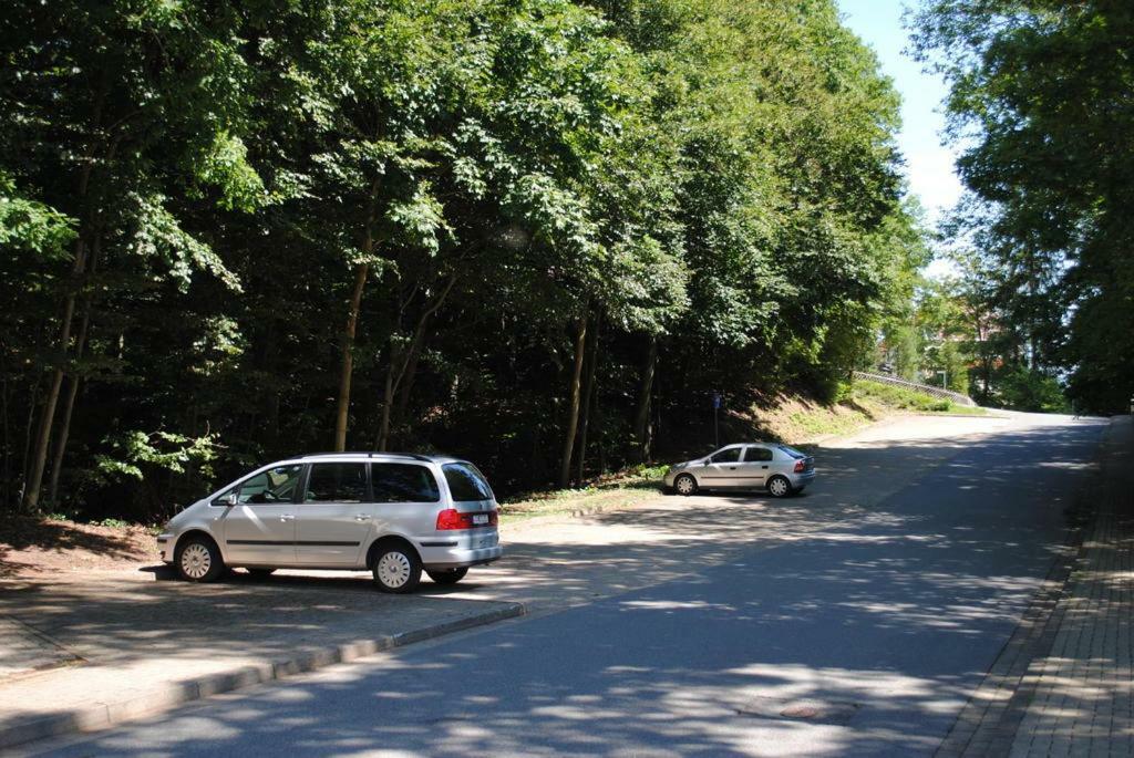 Panorama Hotel Pension Frohnau Bad Sachsa Dış mekan fotoğraf